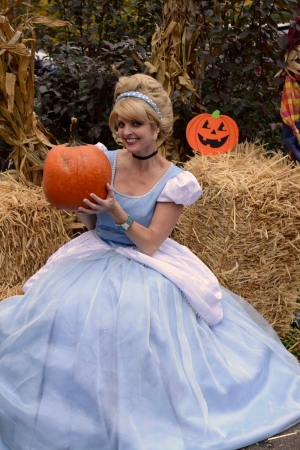 Cinderella and pumpkin