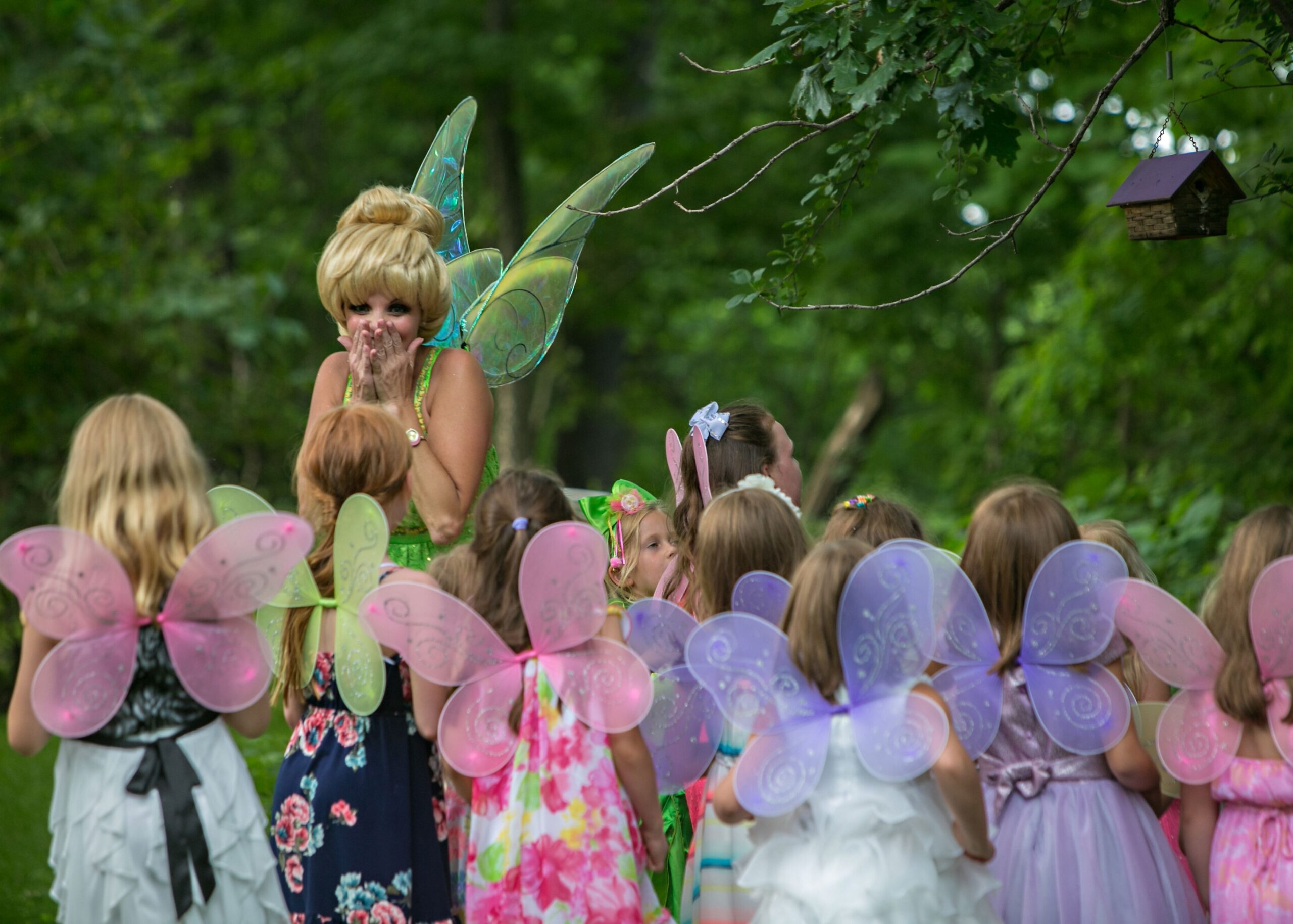 Fairy Garden Tea | Princess Party Pals Minnesota